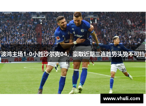 波鸿主场1-0小胜沙尔克04，豪取近期三连胜势头势不可挡