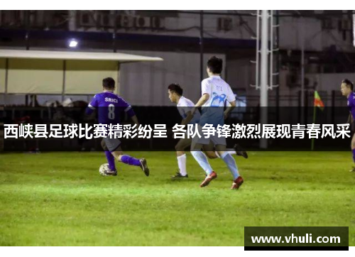 西峡县足球比赛精彩纷呈 各队争锋激烈展现青春风采