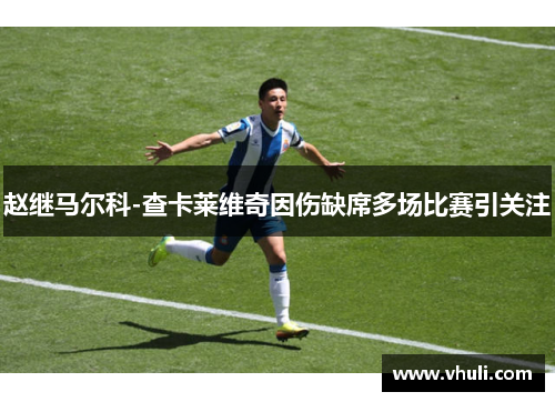 赵继马尔科-查卡莱维奇因伤缺席多场比赛引关注