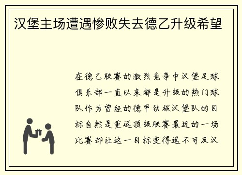 汉堡主场遭遇惨败失去德乙升级希望