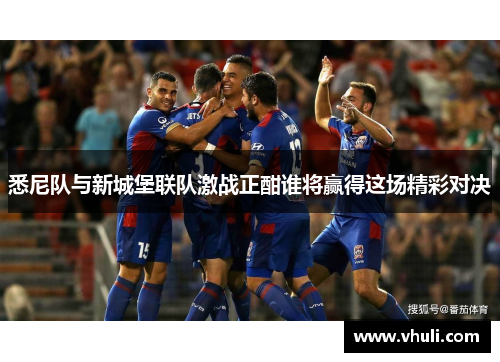 悉尼队与新城堡联队激战正酣谁将赢得这场精彩对决